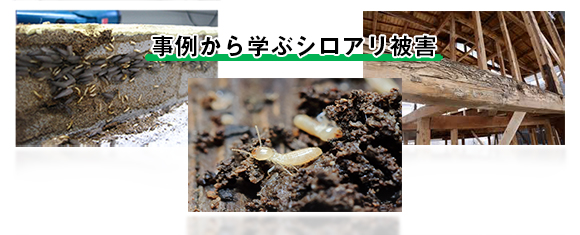事例から学ぶシロアリ被害のイメージ画像
