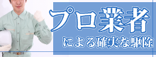 プロ業者による確実な駆除