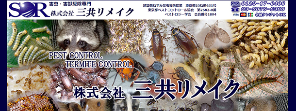 三共リメイクの駆除料金