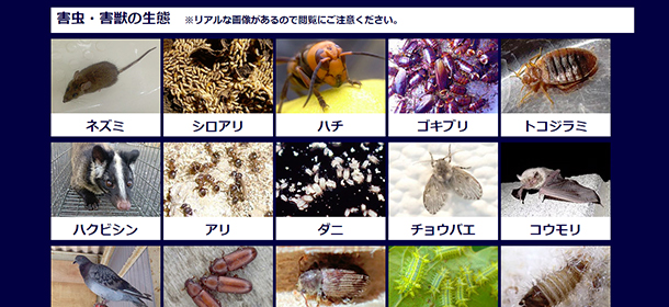 様々な害虫に対応する三共リメイク