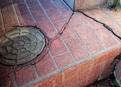シロアリ被害が遭ったタイル